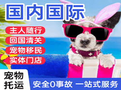 石家庄机场快递国际宠物托运 【国